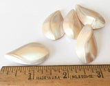 Nautilus Shell, Shell Pendant Focal  Teardrop Bead-1pc