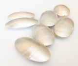 Nautilus Shell, Shell Pendant Focal  Oval Bead-1pc