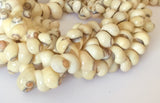 Yellow Shell Beads, moonshell 16" strand