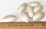 Nautilus Shell, Shell Pendant Focal  Oval Bead-1pc