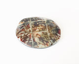 Inlaid shell pendant, round shell pendant, limpet shell pendant 55mm round