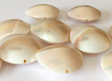 Nautilus Shell, Shell Pendant Focal Bead-1pc
