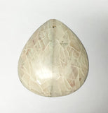 White abalone shell pendant, shell pendant