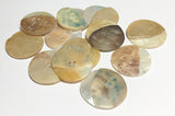 12 Round shell buttons for crafts and accessories 26mm