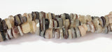 Natural Shell Beads, Hammershell Chips Nuggets 16" strand