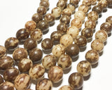 Buri Nut Beads 10mm Round Tiger 16" strand