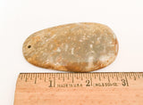 Large Fossilized Stone Coral Oval Pendant 73x39mm