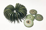 20mm Coconut Wood Discs, Coco Rondelle Khaki Green, Coconut Shell, Natural Wood Beads-30pc