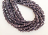 Buri Nut Beads Chips Nuggets Blue 16" strand