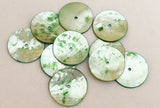 Large Shell Round Buttons Shell Disc Green  1  1/4 inch-10pc