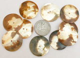 Large Shell Round Buttons Shell Disc Natural 1  1/4 inch-10pc