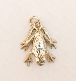 Sterling Silver Frog Pet Charm