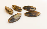 Focal Shell Beads, Natural Shell Oval Beads Brownlip-5pc