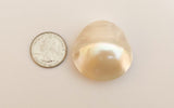 Extra Large Nautilus Shell Focal, Natural Shell Bead, Large White Shell Pendant 34mm