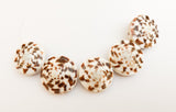 5 Conus Shell Beads 23mm+