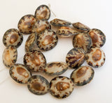 Limpet shell beads natural shell beads 16" strand