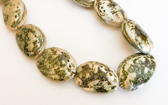 7 Abalone Shell Beads, Abalone Oval