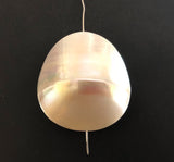 Extra Large Nautilus Shell Focal, Natural Shell Bead, Large White Shell Pendant 34mm