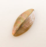 Large Shell Oval Beads, Shell Focal, Brownlip Shell-5pc