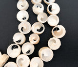 White shell beads, vertagus shell beads