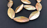 Large Shell Oval Beads, Shell Focal, Brownlip Shell-5pc