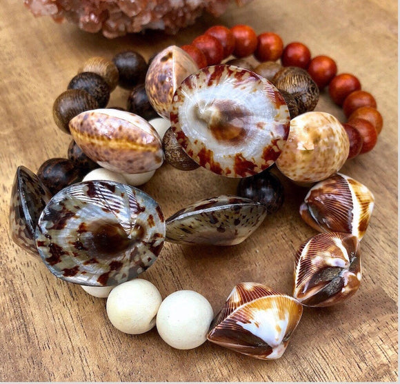 Assorted Shell Beads, Focal Bead, Natural Shell Beads, Shell Sampler Bead Lot