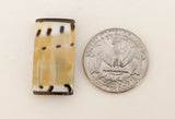 Shell Rectangle Beads, Cone Shell-4pc