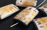 Shell Rectangle Beads, Cone Shell-4pc