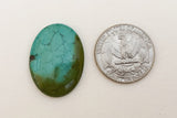 Kingman Turquoise Cabochon Oval 22x29mm