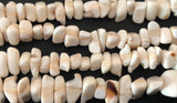 Natural Shell Beads, Luhanos Shell Chips Nuggets 16" strand