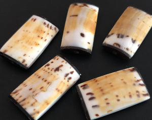 Shell Rectangle Beads, Cone Shell-4pc