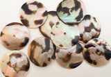 Large Round Shell Buttons 1 inch Brownlip~10pc