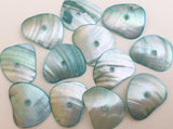 Free form Shell Buttons 1 hole-12pc
