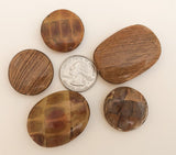 5pc Wrapped Beads, Inlaid Wood Focal Beads