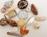 Shell Bead Mix 40+