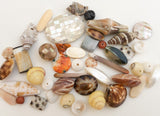 Shell Bead Mix 40+