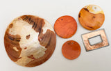 5 Colored Shell Pendants