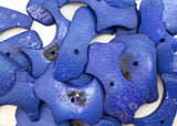 Coconut Flat Nugget Chips Extra Large Royal Blue 30pc