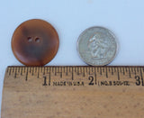 12 Horn buttons 28mm round golden horn