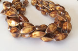 Kaccol shell beads natural shell beads 4 sided shell 16" strand