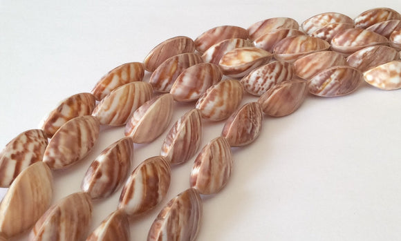 Snail shell beads natural shell beads 3 sided 16