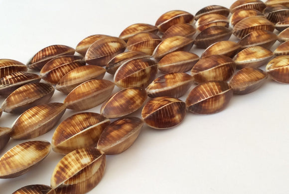 Kaccol shell beads natural shell beads 4 sided shell 16