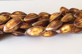 Kaccol shell beads natural shell beads 4 sided shell 16" strand