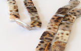 Shell beads, natural shell beads, cowrie shell beads rectangle-10pc