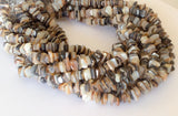 Natural Shell Beads, Brownlip Shell Chips 16" strand