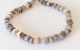 Genuine Shell Necklace Choker Hammershell 18"