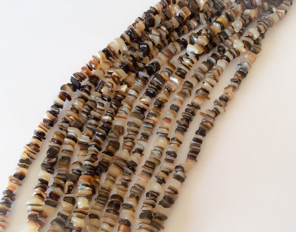 Natural Shell Beads, Brownlip Shell Chips 16