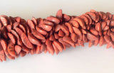 Betel Nut Beads, Salwag Beads, Natural Nuts Seed Crescent Brick Red