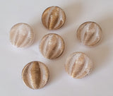 Pale pink with gold vinatge glass button lot-6pc