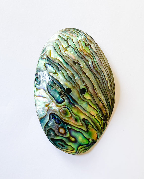Large Abalone Paua Oval Button